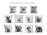 Adon MH Pets