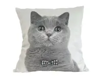 Almohadón Velvet Pet Gato British