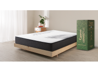 CompacPlus