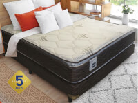 Golden Flex Pillow Top