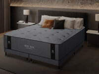 lexington-52.webp