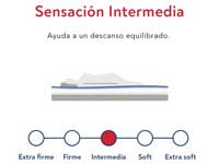 magnetic-postura.jpg