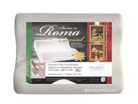 roma-671.webp