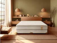 Sublime EuroPillow